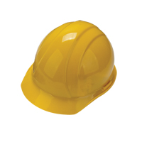 Trousses d'ÉPI de démarrage pour travailleuses SGH561 | Zenith Safety Products
