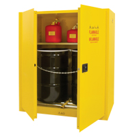 Drum Cabinets | Zenith Safety Products