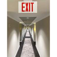 Exit Sign, LED, Battery Operated/Hardwired, 12-1/5" L x 7-1/2" W, English XI788 | Zenith Safety Products