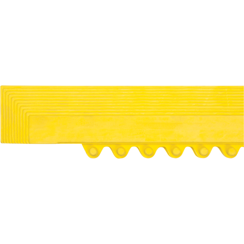 SDL869 Rampe de bordure pour tapis