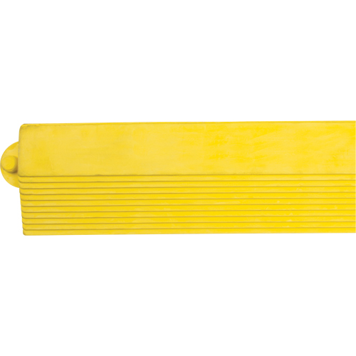 SDL870 Rampe de bordure pour tapis