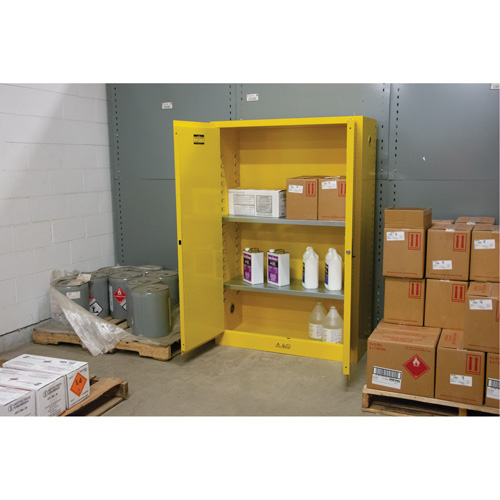 SDN647 Flammable Storage Cabinet, 45 gal., 2 Door, 43" W x 65" H x 18" D