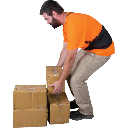 SEE905 Support lombaire, &eacute;lastique, Petit