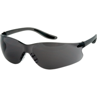 Z500 Series Safety Glasses, Grey/Smoke Lens, Anti-Scratch Coating, CSA Z94.3 SAS362R | Zenith Safety Products