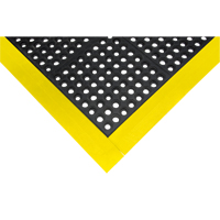 SDL870 Rampe de bordure pour tapis