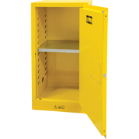 Flammable Storage Cabinet, 16 gal., 1 Door, 23" W x 44" H x 18" D SDN643 | Zenith Safety Products