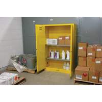 Armoire pour produits inflammables, 45 gal., 2 Porte(s), 43" La x 65" h x 18" p SDN647 | Zenith Safety Products