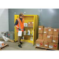 Flammable Storage Cabinet, 45 gal., 2 Door, 43" W x 65" H x 18" D SDN647 | Zenith Safety Products