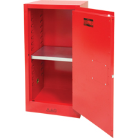 SDN649 Paint/Ink Cabinet, 20 gal.