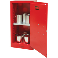 SDN649 Paint/Ink Cabinet, 20 gal.
