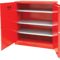 Paint/Ink Cabinet, 45 gal., 3 Shelves SDN650 | Zenith Safety Products