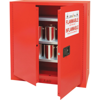 Paint/Ink Cabinet, 45 gal., 3 Shelves SDN650 | Zenith Safety Products