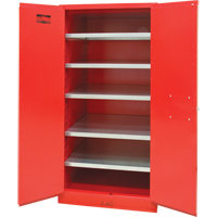 Paint/Ink Cabinet, 96 gal., 5 Shelves SDN652 | Zenith Safety Products