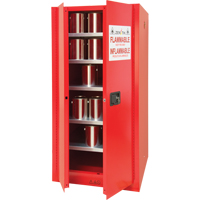 Paint/Ink Cabinet, 96 gal., 5 Shelves SDN652 | Zenith Safety Products