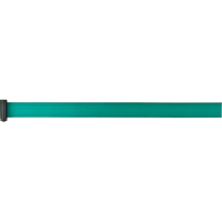 Tape Cassettes for Build-Your-Own Crowd Control Barriers, 7', Green Tape SEC363 | Zenith Safety Products