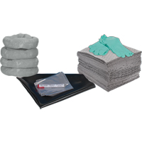 SHP096 Trousse de rechange pour atelier, 30 gallons, Universel