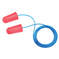 Disposable Earplugs | Zenith Safety Products
