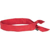 Cooling Bandana, Red SGO334 | Zenith Safety Products