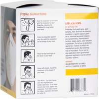 SGW858 Disposable Nuisance Dust Mask